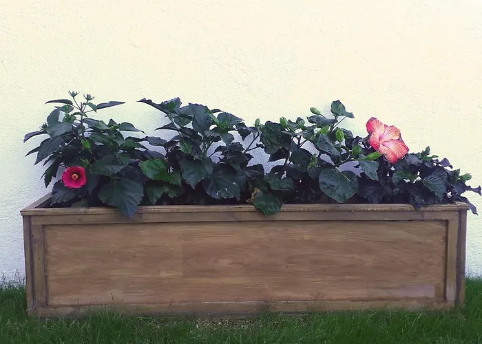 Apartment Fairways Club, Duplex B22