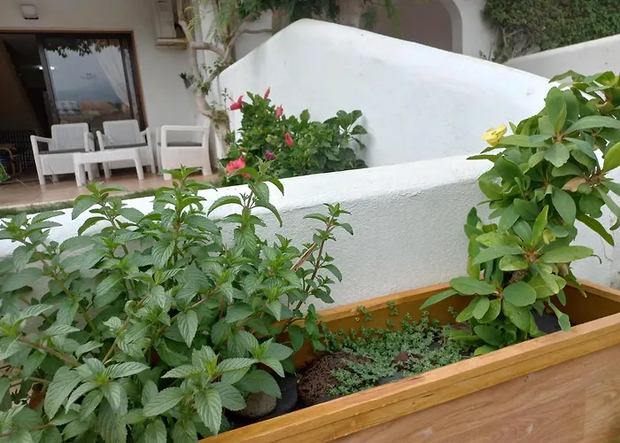 Fairways Club, Duplex B22 San Miguel de Abona