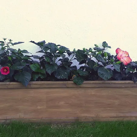 Appartamento Fairways Club, Duplex B22